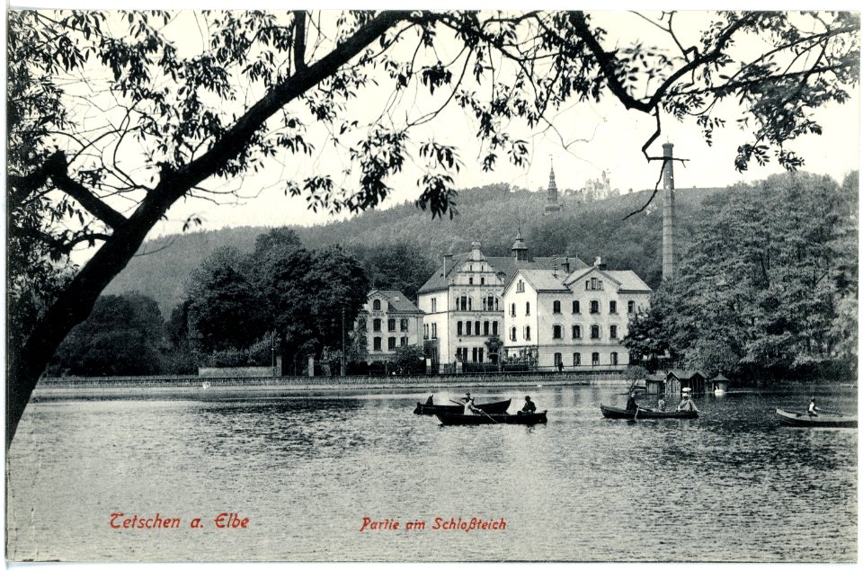 17774-Tetschen-1914-Schloßteich mit Gondelbetrieb-Brück & Sohn Kunstverlag