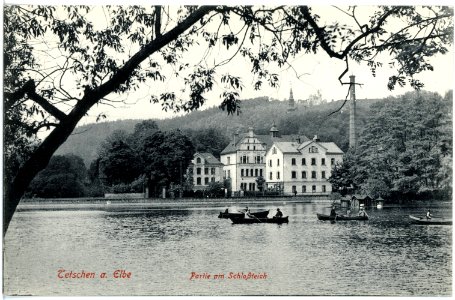17774-Tetschen-1914-Schloßteich mit Gondelbetrieb-Brück & Sohn Kunstverlag