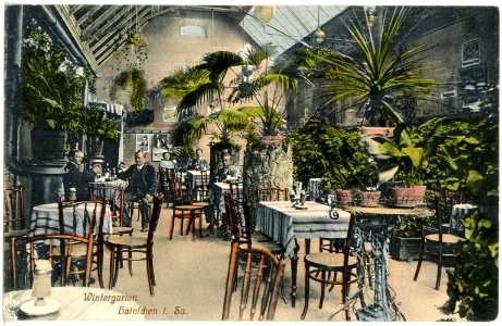 17728-Hainichen-1914-Wintergarten-Brück & Sohn Kunstverlag