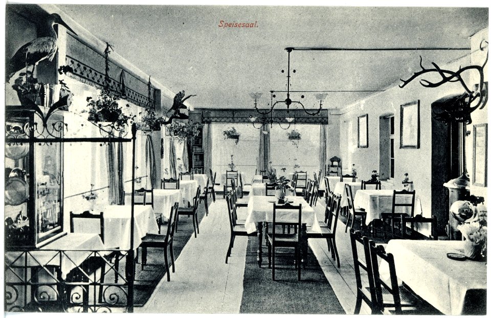 17871-Kipsdorf-1914-Bahnhotel "Zur Tellkoppe" - Speisesaal-Brück & Sohn Kunstverlag