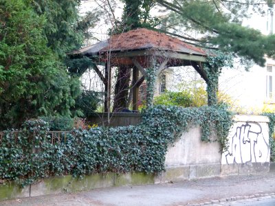 Pavillon Niederwaldstraße 30 Striesen