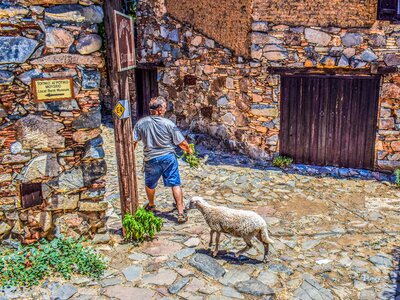 Architecture traditional rural life photo