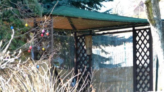Pavillon Bergweg 1 Pillnitz 2