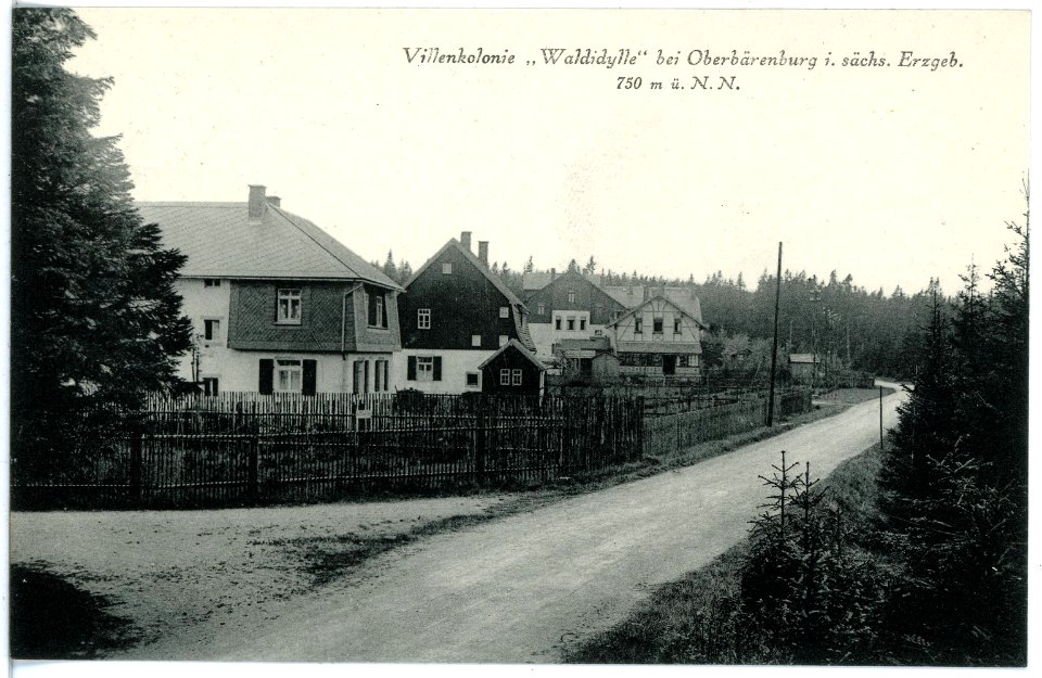 17878-Oberbärenburg-1914-Waldidylle-Brück & Sohn Kunstverlag