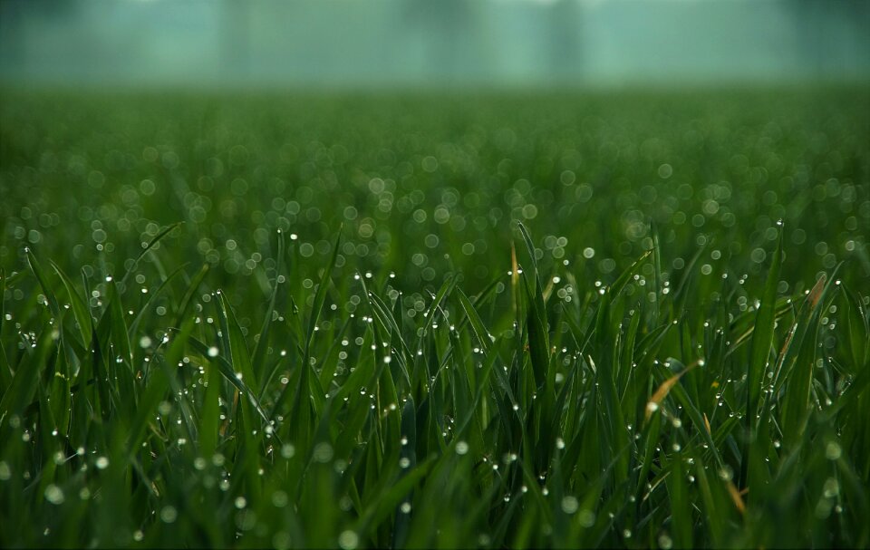 Close up green drop of water
