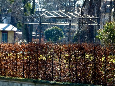 Pavillon 2 Goetheallee 57 Blasewitz