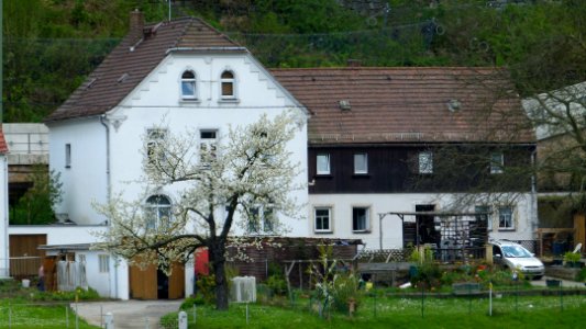 Niedervogelgesang 22 Pirna
