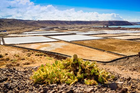 Waters travel salt pans photo