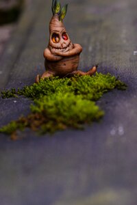 Decoration nature moss