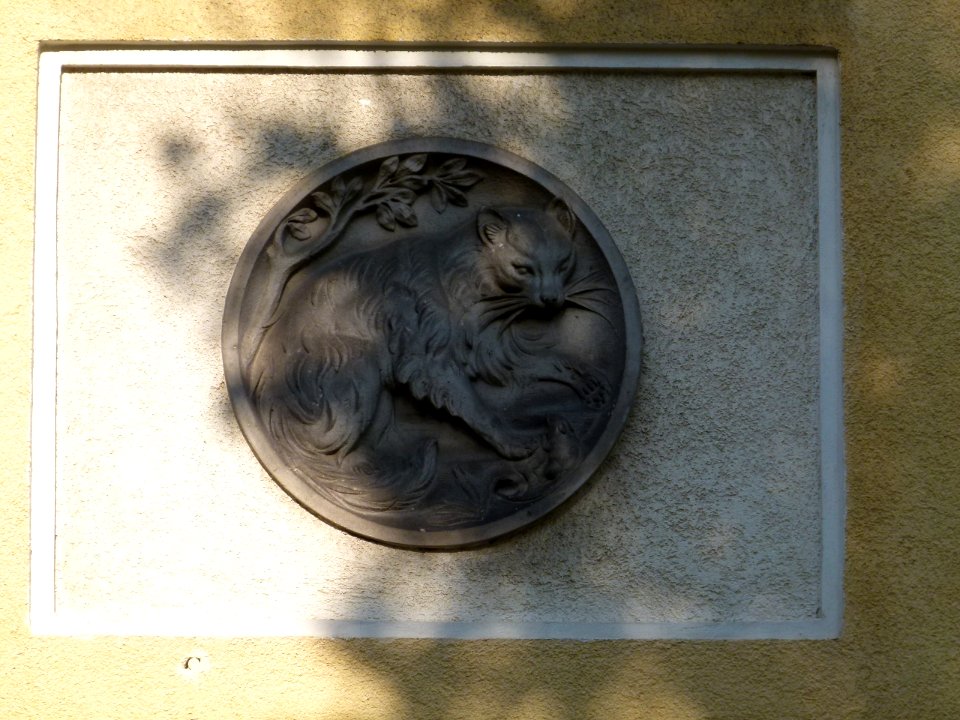 Linzer Straße 1 Laubegast 9