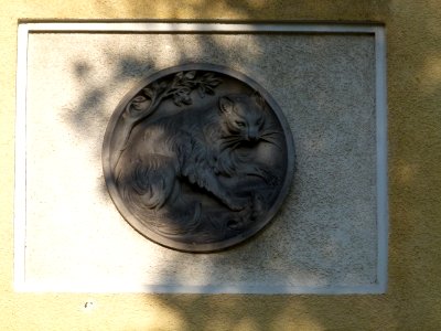 Linzer Straße 1 Laubegast 9