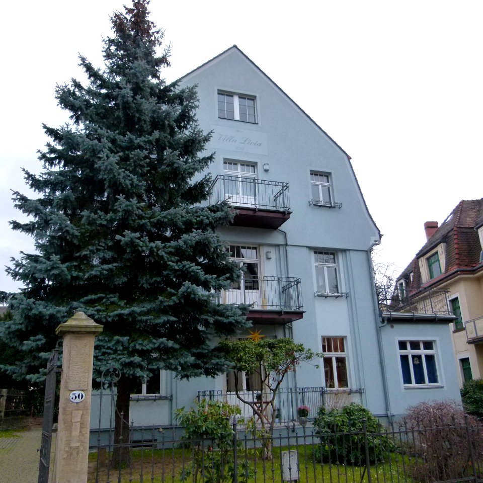 Plattleite 50 Weißer Hirsch