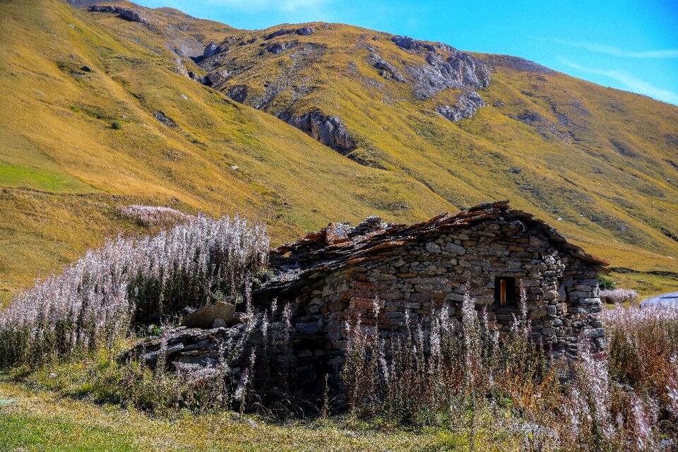 Alpine country nature landscape