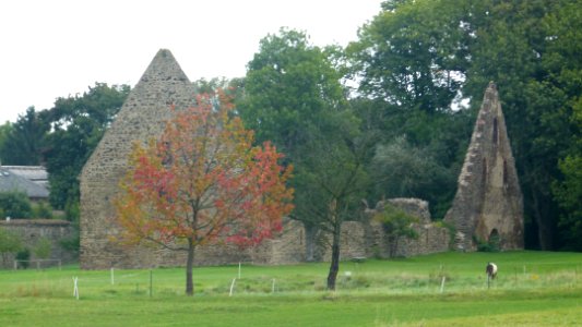 Kloster Altzella 91
