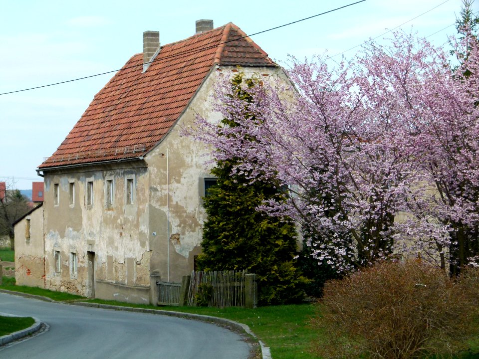 Liebstädter Straße 34 Pirna