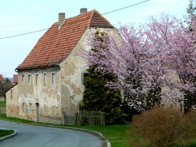 Liebstädter Straße 34 Pirna