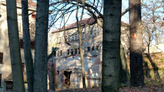 Lahmann-Sanatorium 14