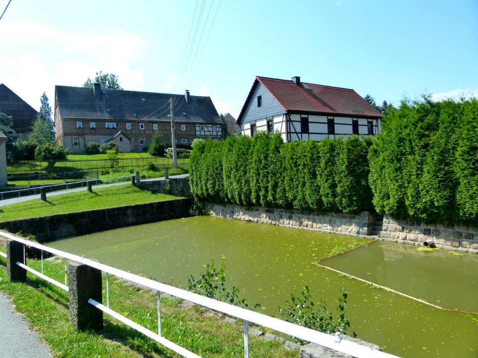 Teichweg Dorf Wehlen