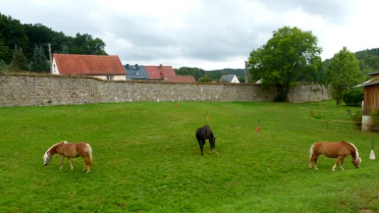 Kloster Altzella 87