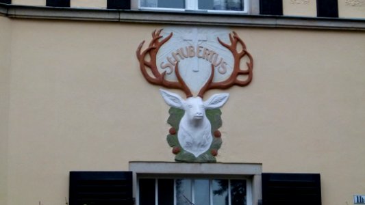 Luboldtstraße 11b Weißer Hirsch 5