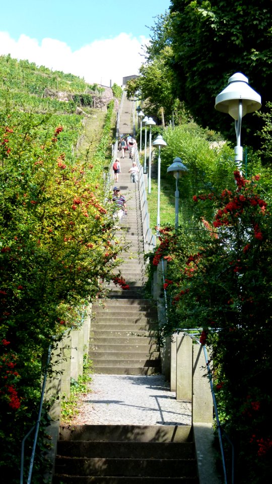 Spitzhaustreppe Radebeul 4