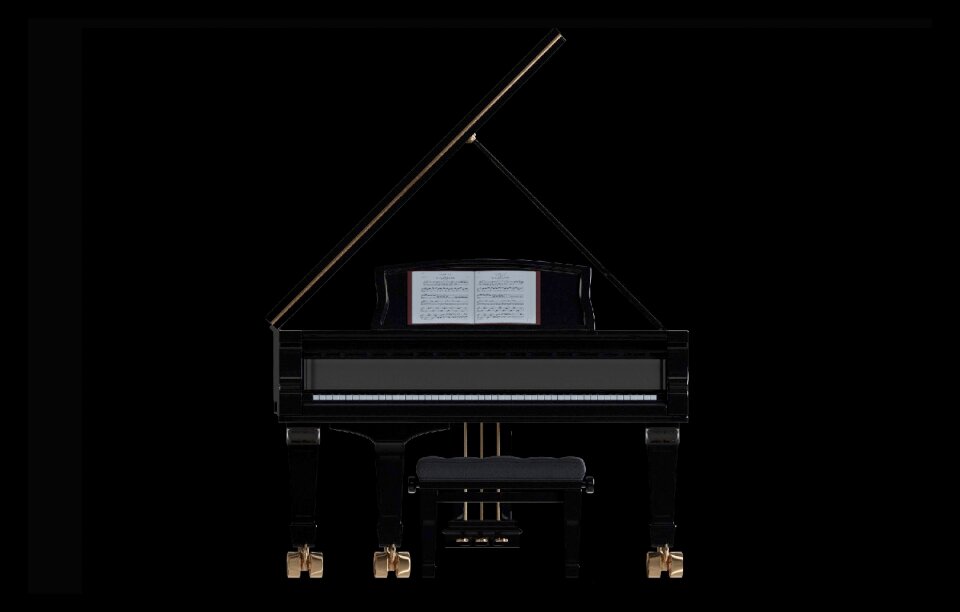 Classic instrument keyboard instrument