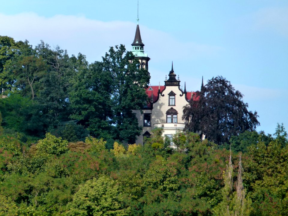 Villa San Remo in Loschwitz 6