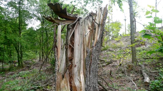 Tornado 2010 Seifersdorf 08
