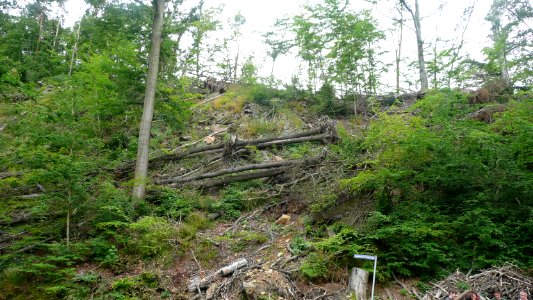 Tornado 2010 Seifersdorf 02