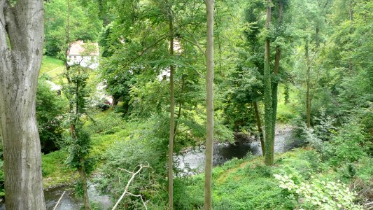 Seifersdorfer Tal 23