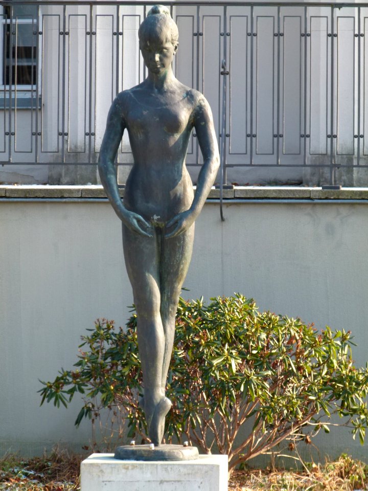 Tiergartenstraße 78 Strehlen 4