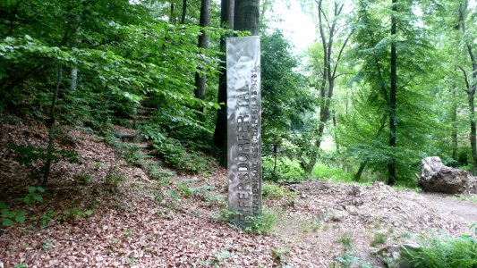 Seifersdorfer Tal 38