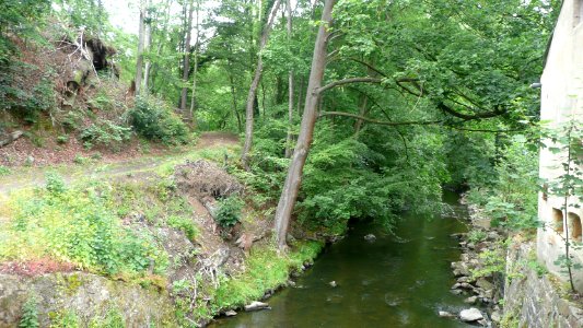 Seifersdorfer Tal 01