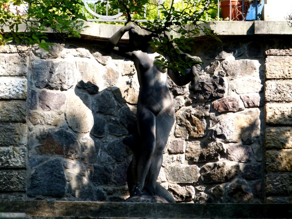 Villa Thorwald in Loschwitz 5