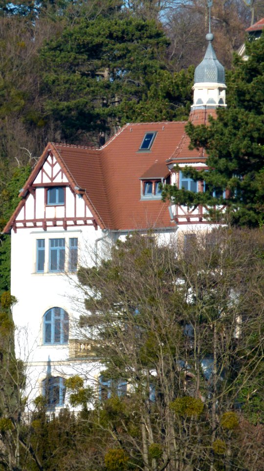 Villa Schillerstraße 21c in Loschwitz 3
