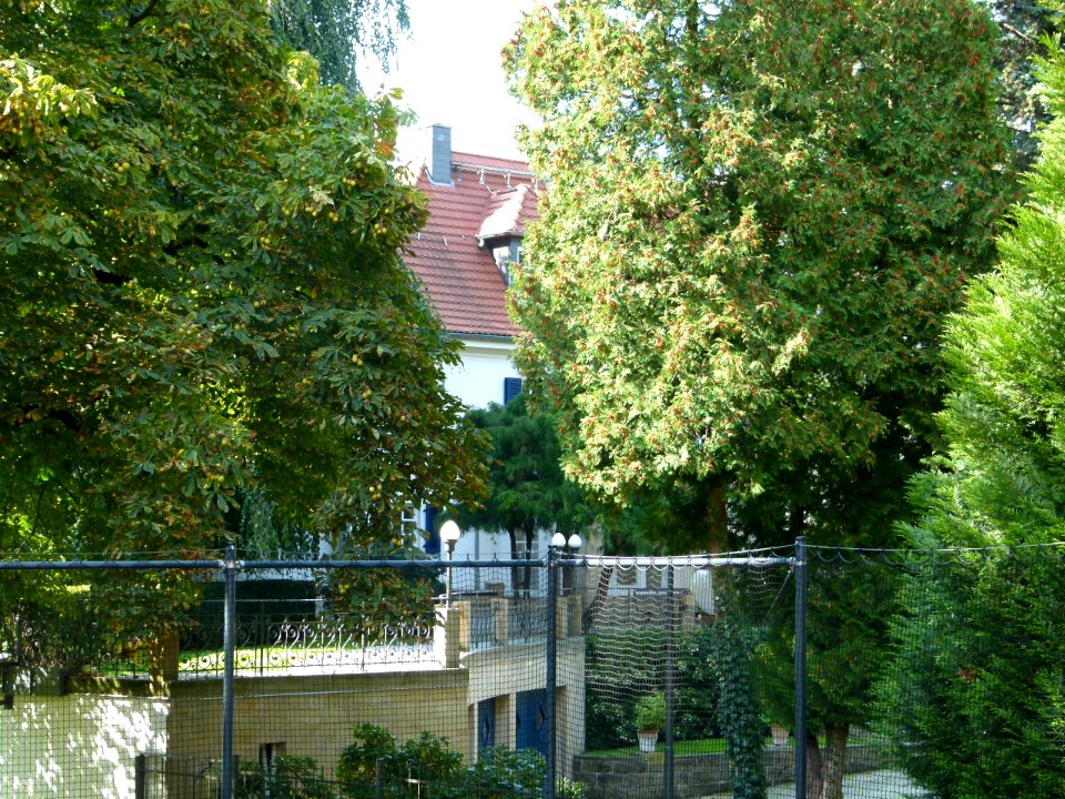 Villa Schillerstraße 33 in Loschwitz