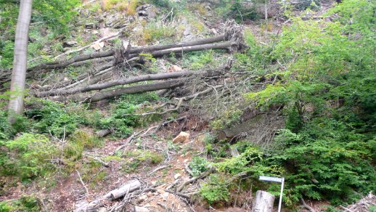 Tornado 2010 Seifersdorf 01