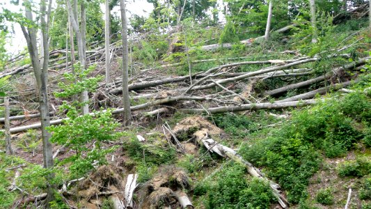 Tornado 2010 Seifersdorf 18