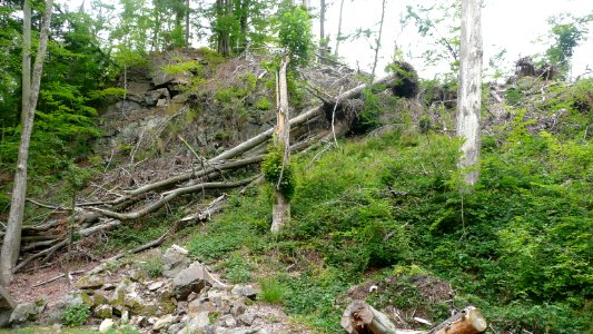 Tornado 2010 Seifersdorf 12