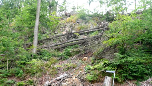 Tornado 2010 Seifersdorf 03