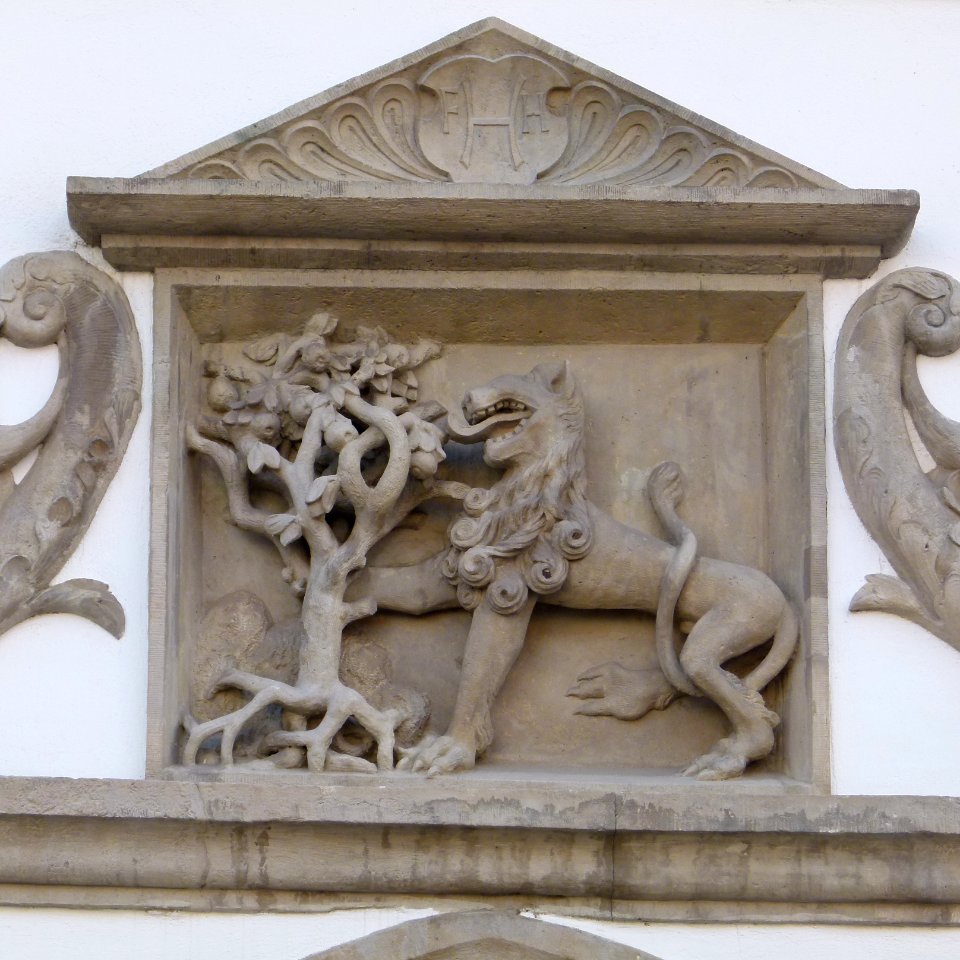 Rathaus Pirna 13