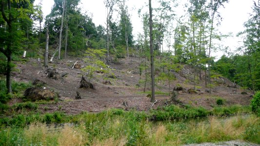 Tornado 2010 Seifersdorf 11