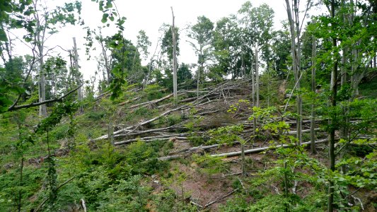 Tornado 2010 Seifersdorf 19