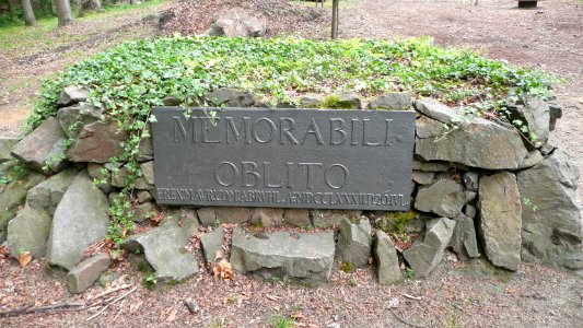 Seifersdorfer Tal 07