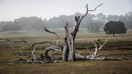 Natural landscape countryside