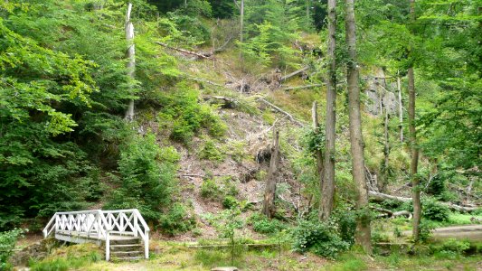 Tornado 2010 Seifersdorf 17