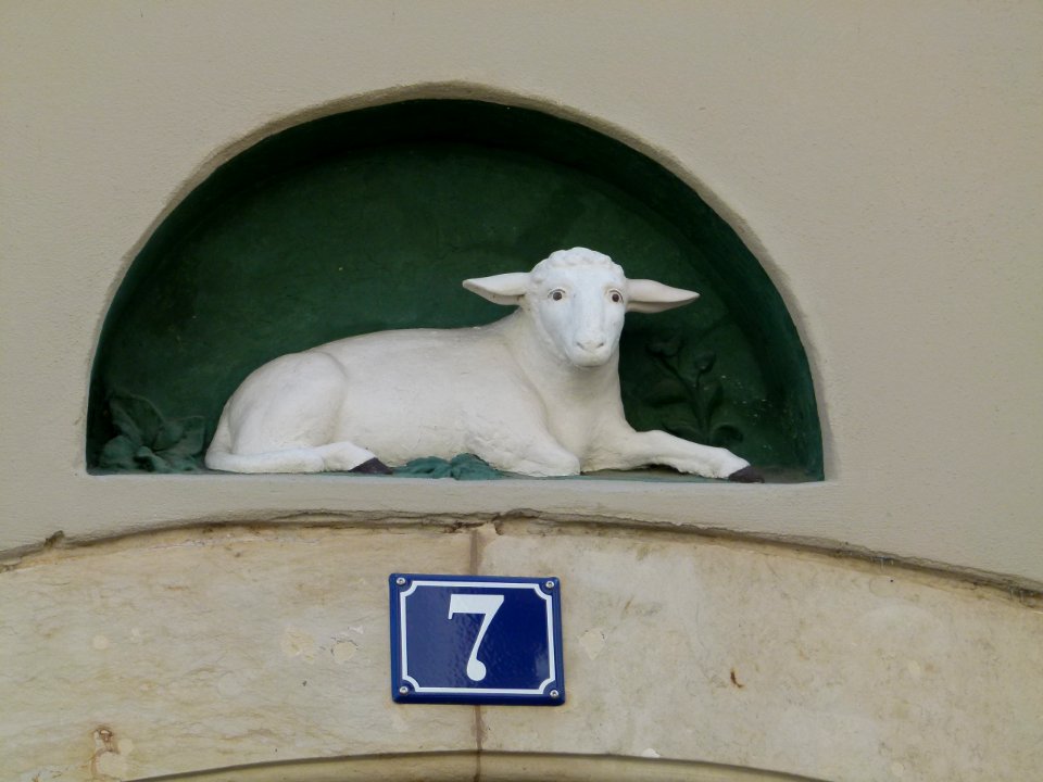 Schuhgasse 7 Pirna 2