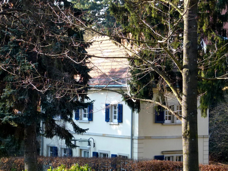Schillerstraße 33a Loschwitz