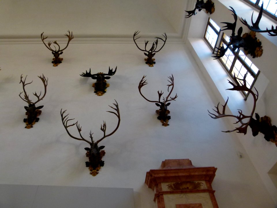 Schloß Moritzburg 34
