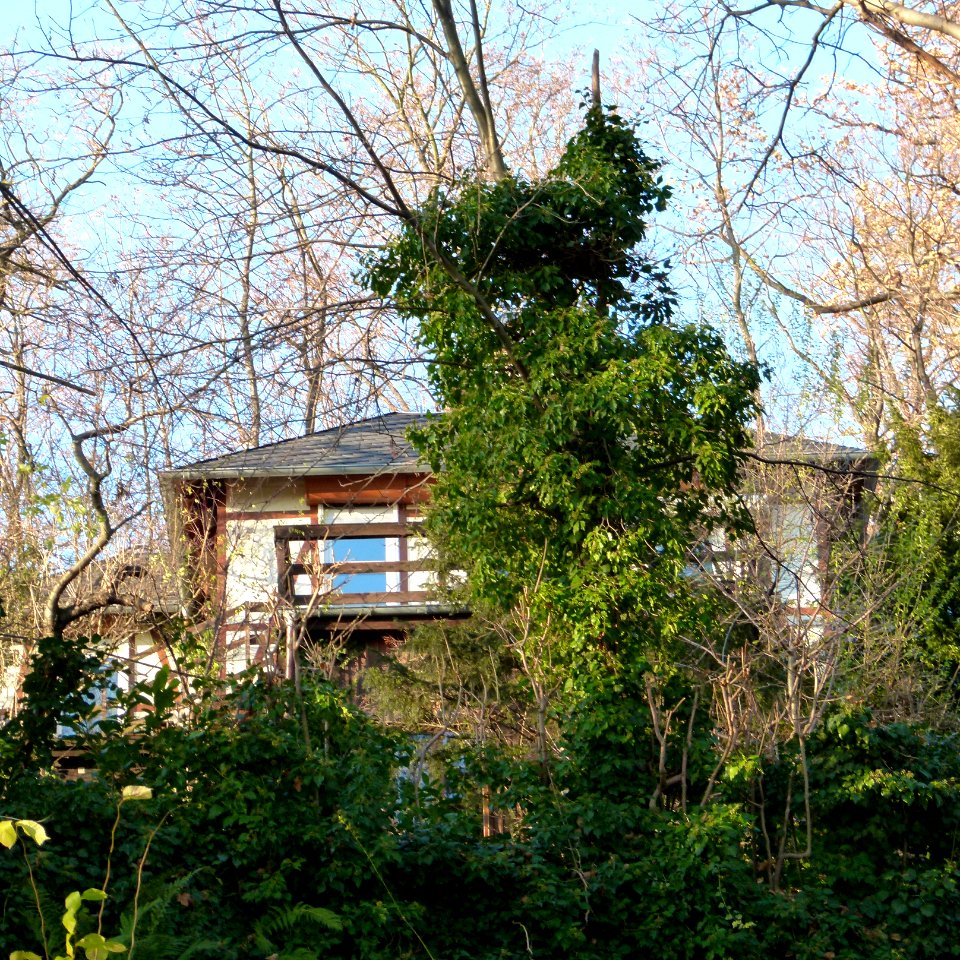 Robert-Diez-Straße 1 Loschwitz